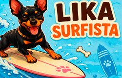 Surfista